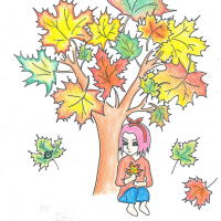 Podzimní Sakura 